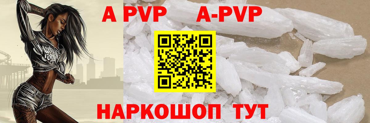A PVP СК КРИС Заводоуковск