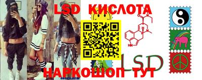 эйфоретик Краснодар