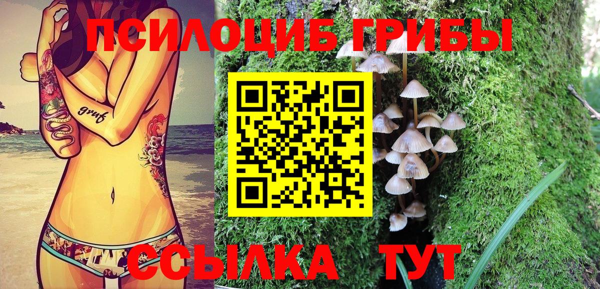 Псилоцибиновые грибы MAGIC MUSHROOMS  Вход с VPN  Заводоуковск 